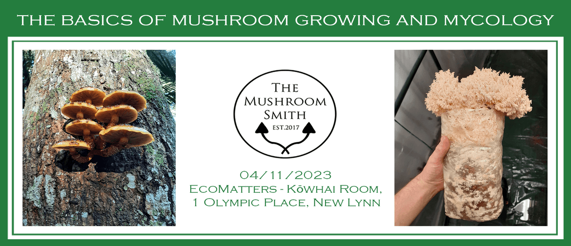 The Basics of Mushroom Growing and Mycology