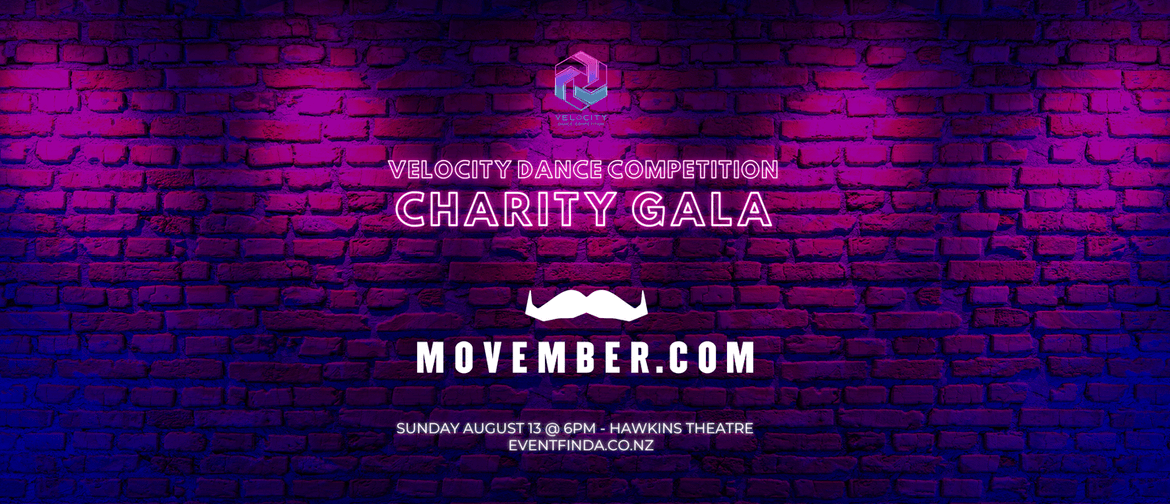 VDC Charity Gala Fundraiser
