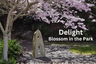 Image for event: Delight -- Blossom In the Park