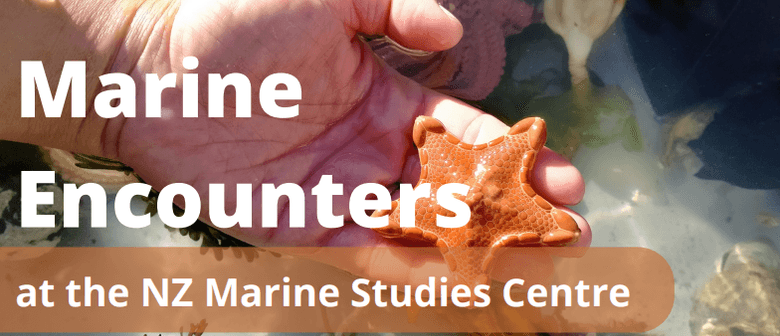 Marine Encounters at the NZ Marine Studies Centre