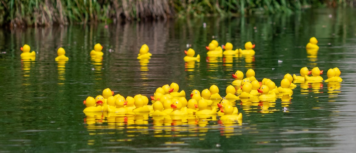 The Great Canterbury Duck Race 2023