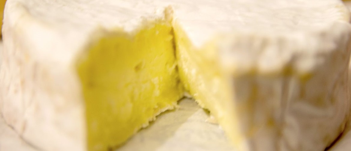 Make Camembert at Home: Cheese Making Workshop