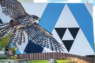 Boon Street Art Walking Tours