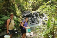 Tangihua Lions Lodge Conservation Project