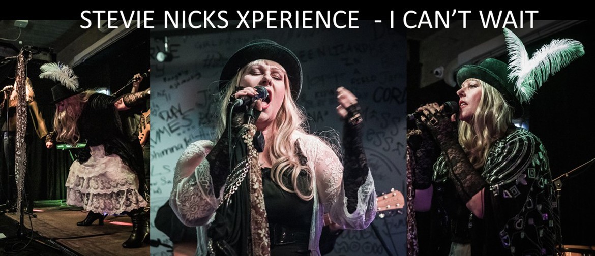 Stevie Nicks Xperience - I Can't Wait