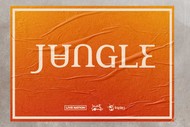 Image for event: Jungle | Auckland