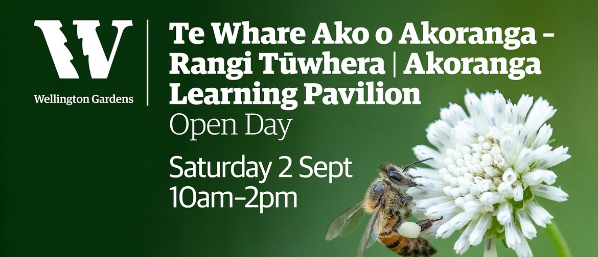 Akoranga Learning Pavilion - Open Day