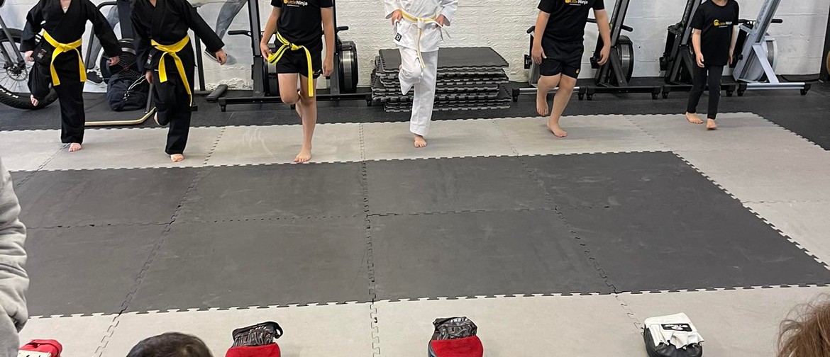 Little Bruce Lee Class