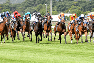 Image for event: Eulogy Stakes Raceday At Race Trentham