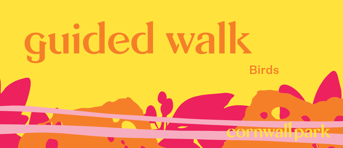 Guided Walk: Birds