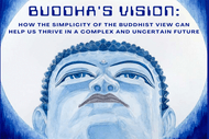 Buddha's Vision