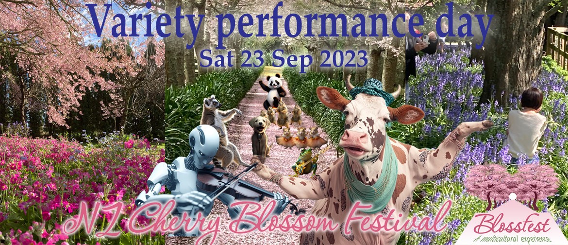 Variety Performance Day of NZ Cherry Blossom Festival