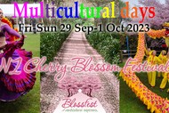 Image for event: Multicultural days of NZ Cherry Blossom Festival