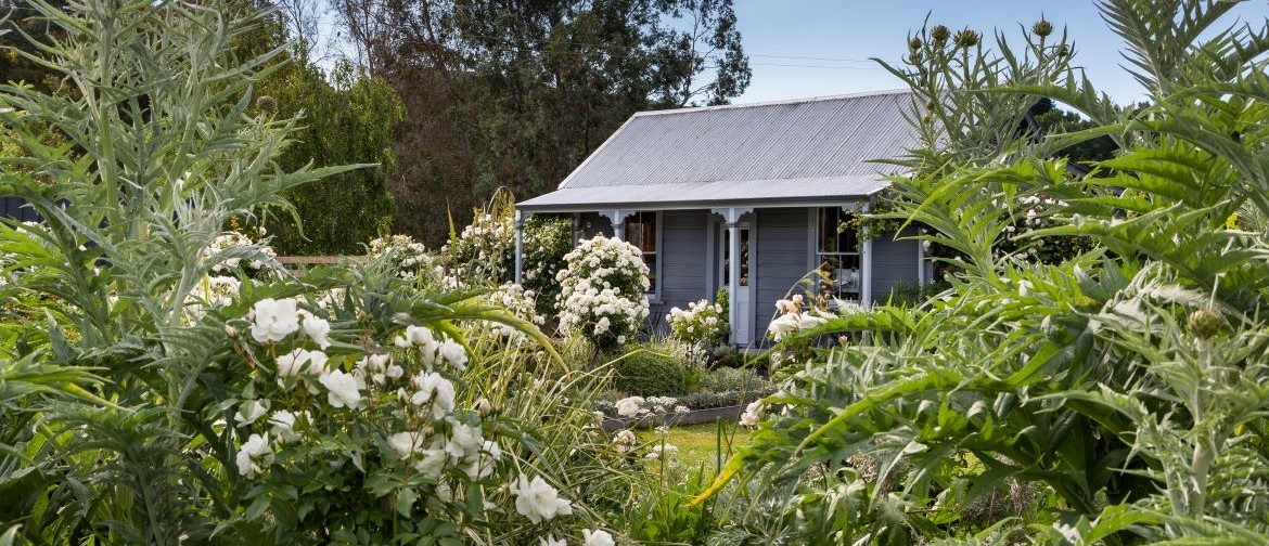 Longbush Cottage Garden Visit