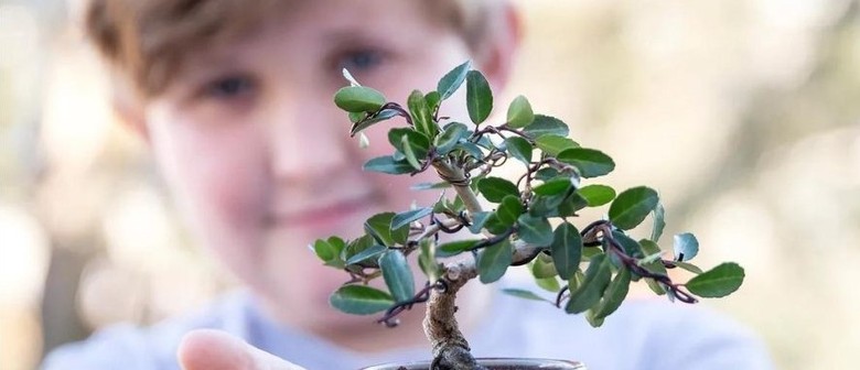Bonsai Tree Workshop for Adult-Child Pairs (9 years+)