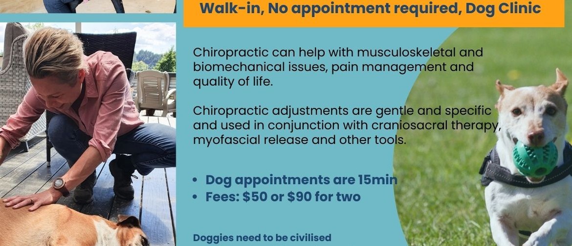 'Walk-n-Wag' Dog Clinic