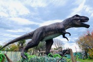Image for event: The Amazing Dinosaur Discovery