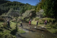 The Hits Waitomo Trail Run