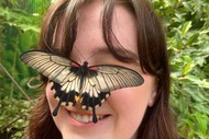 Image for event: Fantastical Holiday Fun at Butterfly Creek