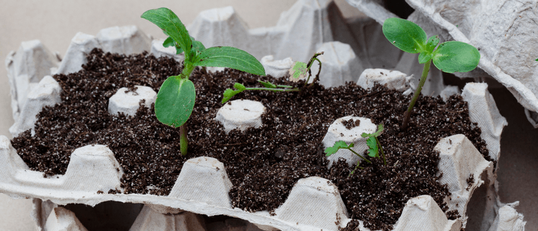 Tiny Seedlings Gardening Workshop