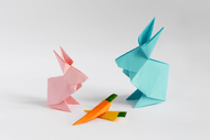 Origami Fun
