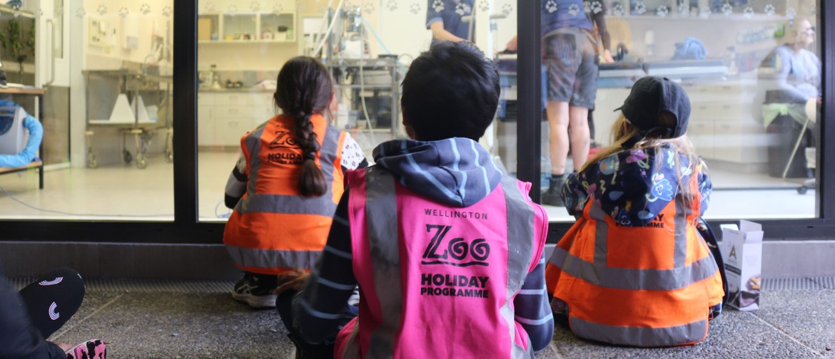 Zoo Holiday Programme