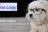 Dog Logic Dog Talk Bethlehem Tauranga