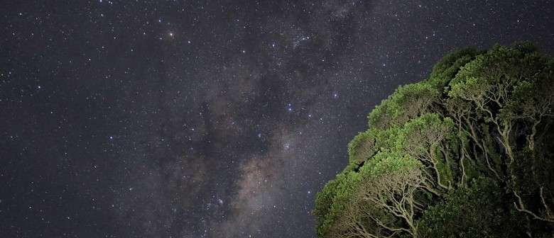 Martinborough Star Gazing and Pick Your Own Lavender - Martinborough ...