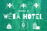 Make a Wētā Hotel with The Green Lab