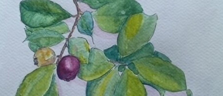Tuesday Lively Sketching with Pen & Wash with Michelle Male