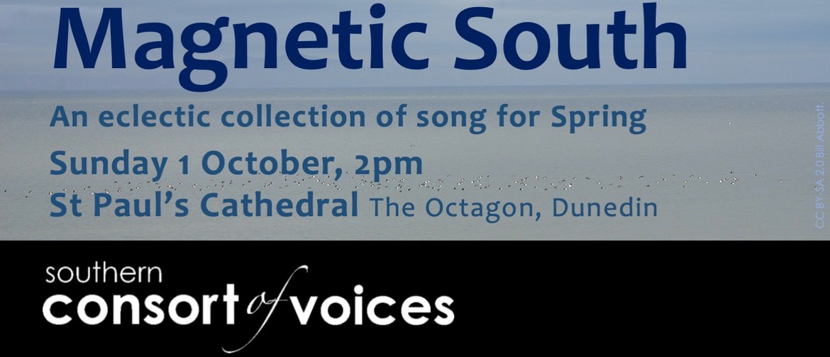 Magnetic South - Southern Consort of Voices