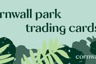 Image for event: Cornwall Park Trading Cards