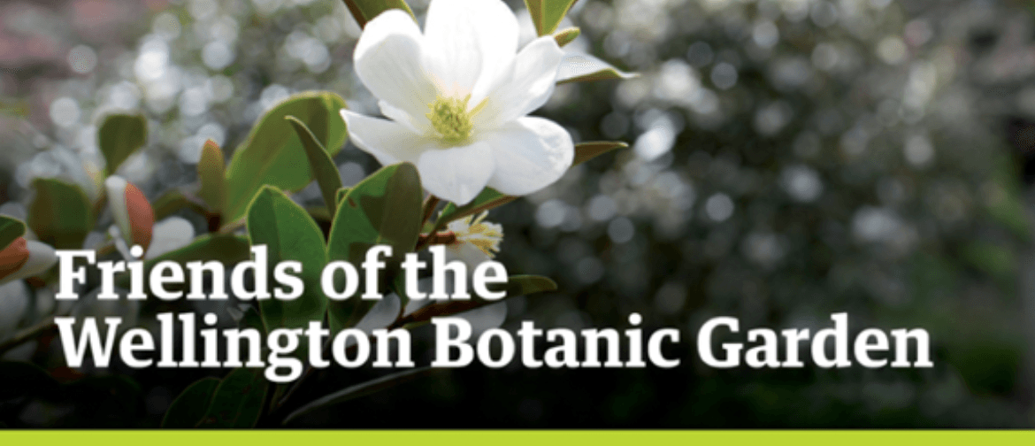 Notable Trees In the Botanic Garden Since 1868