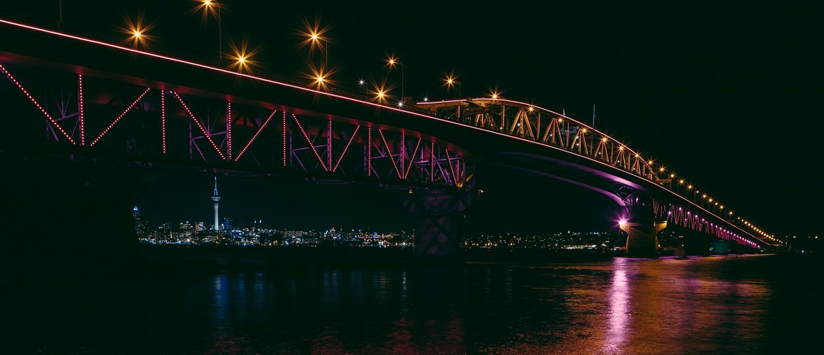 Vector Lights for BNZ Auckland Diwali Festival 2023
