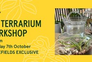 Image for event: DIY Terrarium Workshop by Kings Plant Barn