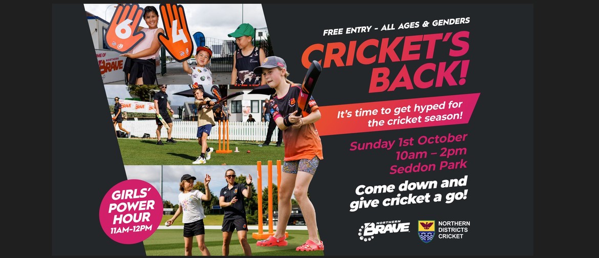 Cricket's Back!
