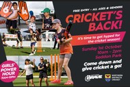 Cricket's Back!