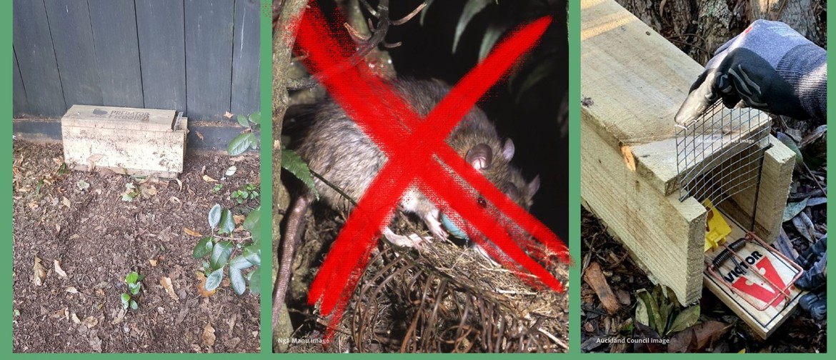 Play Your Part In Predator Free 2050 Aotearoa