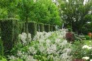 Open Garden Fundraiser