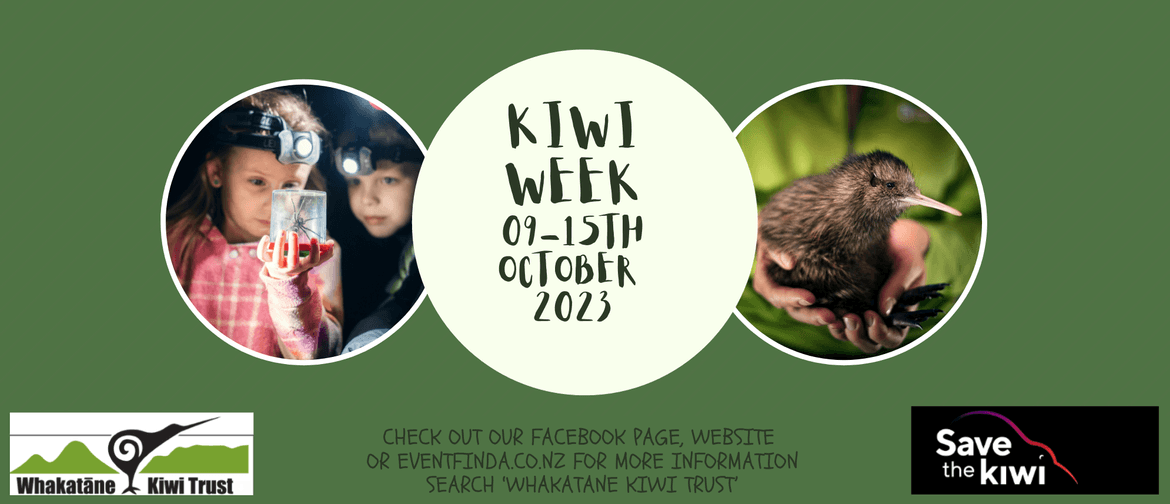 Kids Kiwi Week Discovery Dusk Walk!