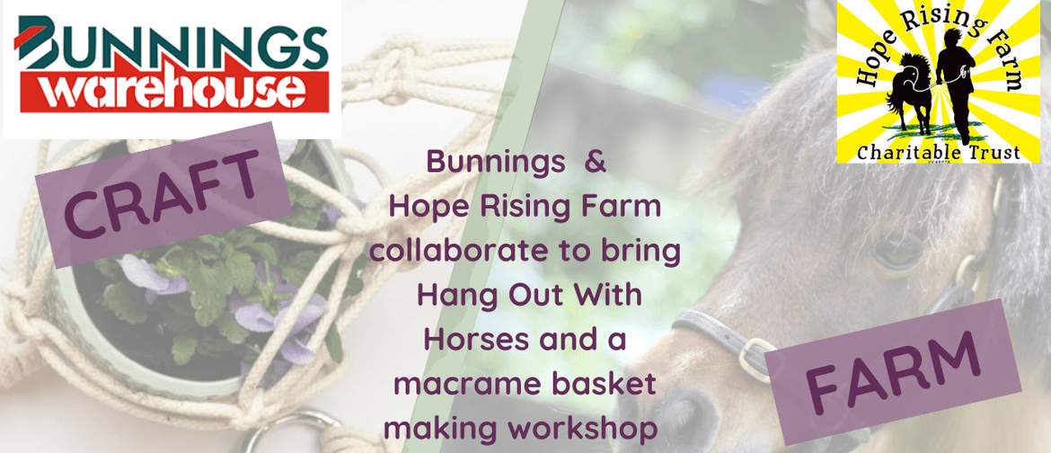 Hang Out With Horses and Creative Workshop