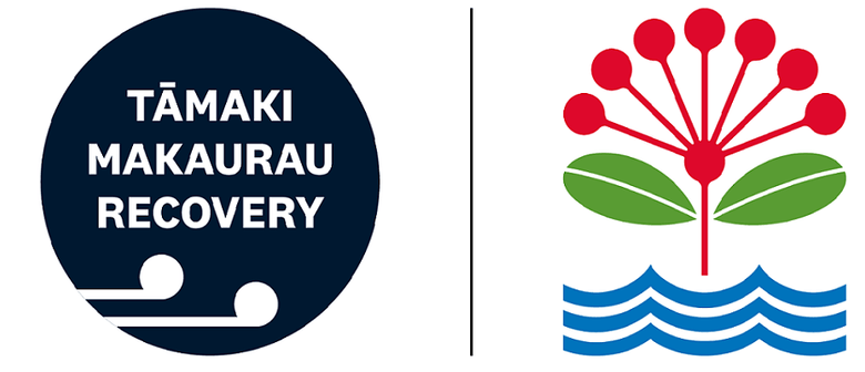 Tāmaki Makaurau Community and Social Recovery Roadmap