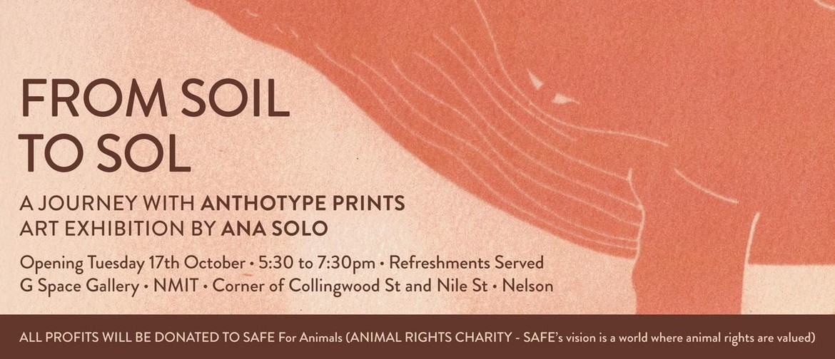 From Soil to Sol - Ana Solo - Fundraiser Art Exhibition From Soil to Sol - Ana Solo - Fundraiser Art Exhibition