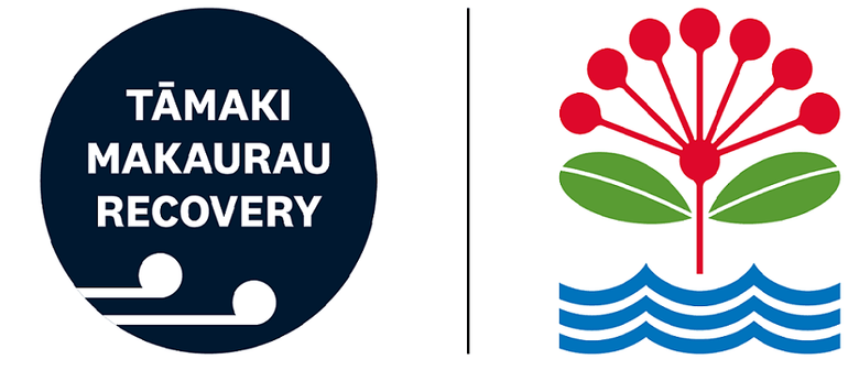 Tāmaki Makaurau Community and Social Recovery Roadmap Tāmaki Makaurau Community and Social Recovery Roadmap
