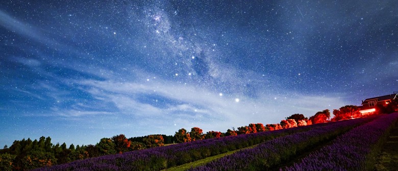 Private Star Gazing Lavender Nights