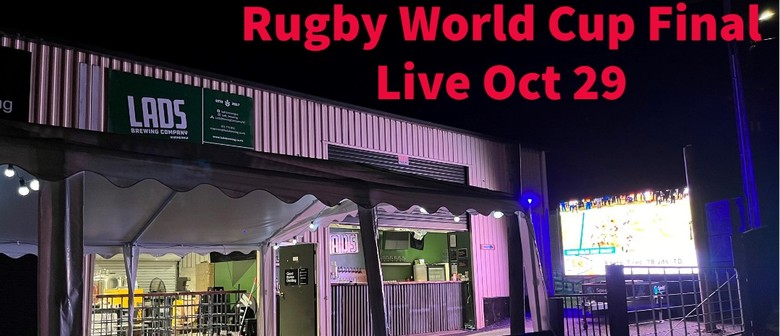 Rugby World Cup Final on a 3m by 1.6m screen