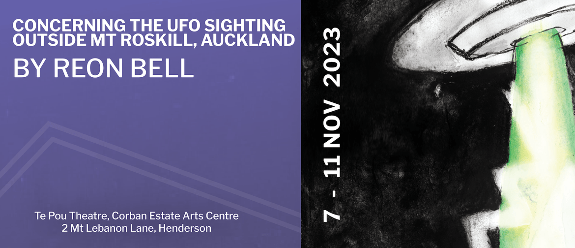 Concerning The UFO Sighting Outside Mt Roskill, Auckland