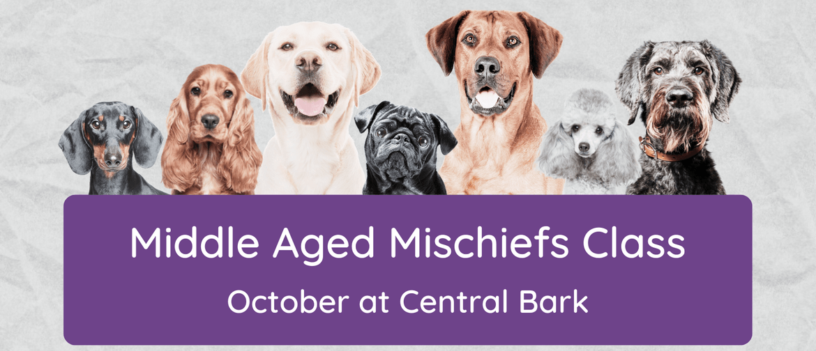 Middle Aged Mischiefs Middle Aged Mischiefs