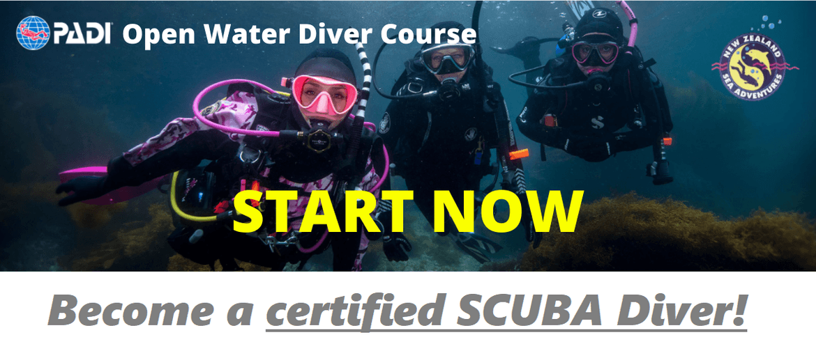 PADI Open Water Diver Course