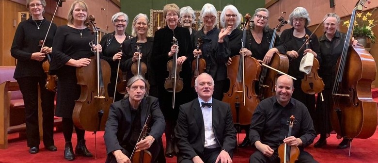 The Cathedral Strings in Concert